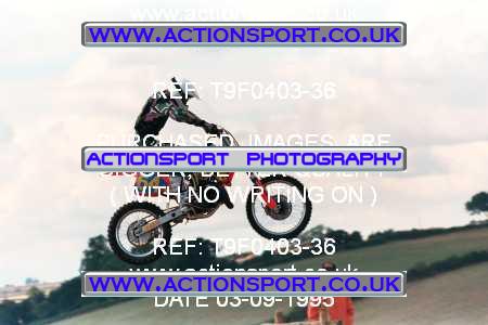 Photo: T9F0403-36 ActionSport Photography 03/09/1995 AMCA Marshfield MXC [Senior Team Event] _4_ExpertsGroup1 #64