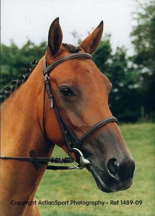 Sample image from 15/10/1995 SORCY Cross Country Equestrian Event
