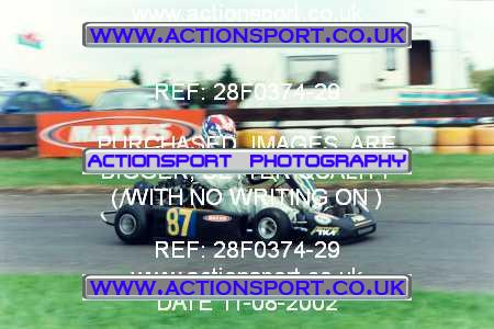 Photo: 28F0374-29 ActionSport Photography 11/08/2002 Hunts Kart Club TKM Festival - Kimbolton  _4_Junior4Stroke #87