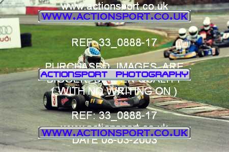 Photo: 33_0888-17 ActionSport Photography 08/03/2003 F6 Karting - Buckmore Park _4_SeniorProKart #3