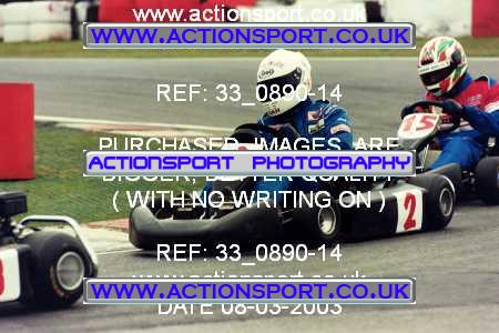 Photo: 33_0890-14 ActionSport Photography 08/03/2003 F6 Karting - Buckmore Park _4_SeniorProKart #2