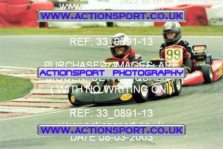 Photo: 33_0891-13 ActionSport Photography 08/03/2003 F6 Karting - Buckmore Park _5_F6Cadets #99