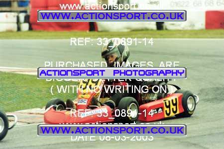 Photo: 33_0891-14 ActionSport Photography 08/03/2003 F6 Karting - Buckmore Park _5_F6Cadets #99