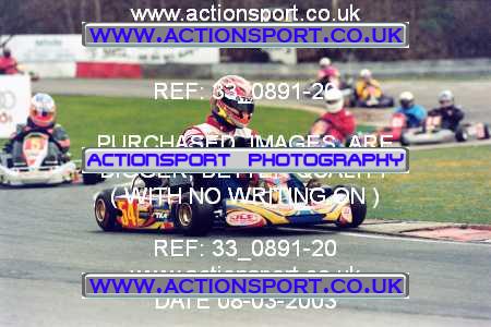 Photo: 33_0891-20 ActionSport Photography 08/03/2003 F6 Karting - Buckmore Park _6_SeniorTKM_Modified_ProKartHeavy #54