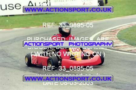 Photo: 33_0895-05 ActionSport Photography 08/03/2003 F6 Karting - Buckmore Park _8_SeniorOpen #88