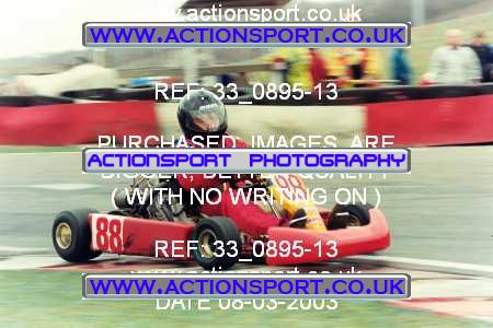 Photo: 33_0895-13 ActionSport Photography 08/03/2003 F6 Karting - Buckmore Park _8_SeniorOpen #88