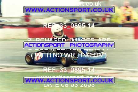 Photo: 33_0895-14 ActionSport Photography 08/03/2003 F6 Karting - Buckmore Park _8_SeniorOpen #55