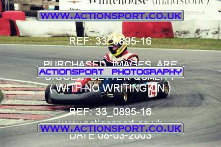 Photo: 33_0895-16 ActionSport Photography 08/03/2003 F6 Karting - Buckmore Park _8_SeniorOpen #74
