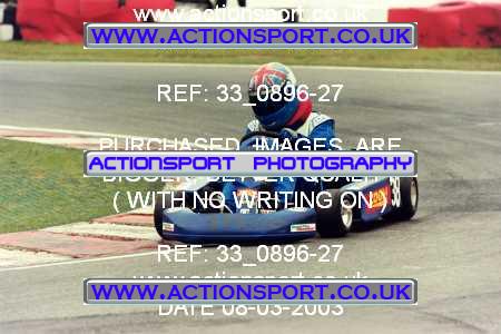 Photo: 33_0896-27 ActionSport Photography 08/03/2003 F6 Karting - Buckmore Park _9_JuniorProKart #38