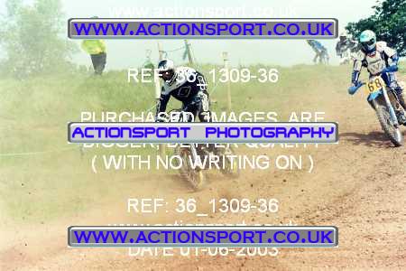 Photo: 36_1309-36 ActionSport Photography 01/06/2003 AMCA Shobdon & District MCC - Downwood Farm Shobdon  _4_250-750Experts #64