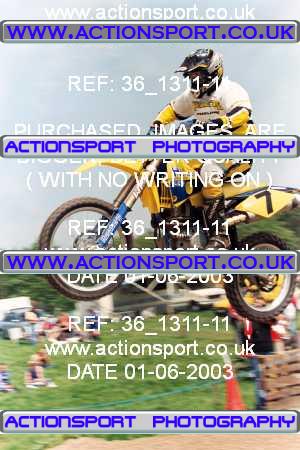 Photo: 36_1311-11 ActionSport Photography 01/06/2003 AMCA Shobdon & District MCC - Downwood Farm Shobdon  _4_250-750Experts #7
