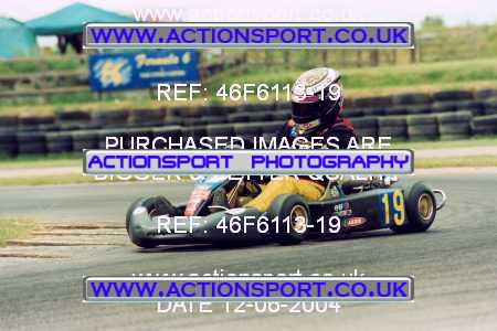 Photo: 46F6113-19 ActionSport Photography 12/06/2004 F6 Karting - Bayford Meadows _8_JuniorTKM4Stroke #19