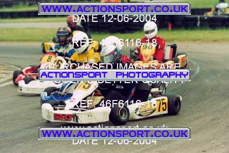 Photo: 46F6116-18 ActionSport Photography 12/06/2004 F6 Karting - Bayford Meadows _1_F6_Biland #76