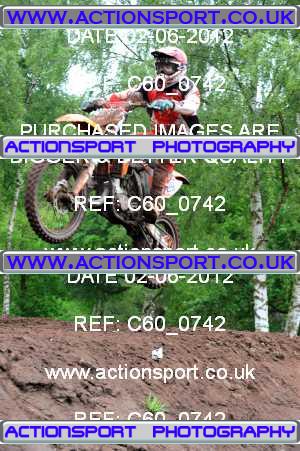 Photo: C60_0742 ActionSport Photography 02/06/2012 AMCA British Masters - Hawkstone Park  _3_MichelinMX1