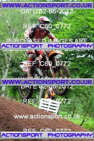 Photo: C60_0772 ActionSport Photography 02/06/2012 AMCA British Masters - Hawkstone Park  _3_MichelinMX1