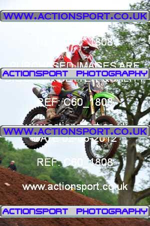 Photo: C60_1808 ActionSport Photography 02/06/2012 AMCA British Masters - Hawkstone Park  _8_MichelinMX2