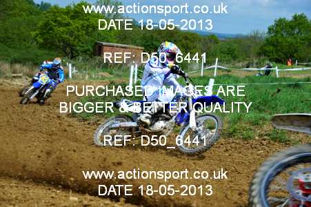 Photo: D50_6441 ActionSport Photography 18/05/2013 Severn Valley SSC All British - Brookthorpe  _3_AMX #331