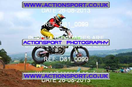 Photo: D81_0099 ActionSport Photography 26/08/2013 AMCA Bath AMCC - Chelwood  _2_Experts