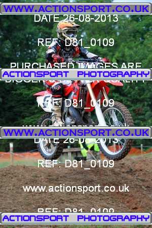 Photo: D81_0109 ActionSport Photography 26/08/2013 AMCA Bath AMCC - Chelwood  _2_Experts