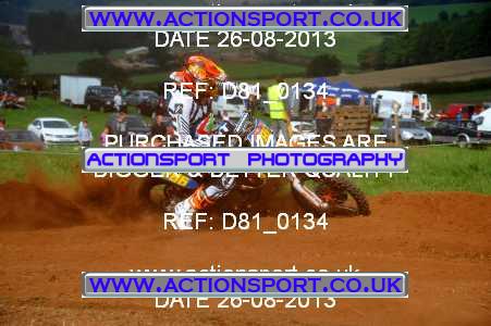 Photo: D81_0134 ActionSport Photography 26/08/2013 AMCA Bath AMCC - Chelwood  _2_Experts