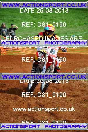 Photo: D81_0190 ActionSport Photography 26/08/2013 AMCA Bath AMCC - Chelwood  _2_Experts