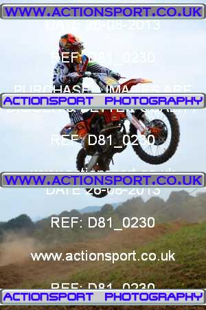 Photo: D81_0230 ActionSport Photography 26/08/2013 AMCA Bath AMCC - Chelwood  _2_Experts