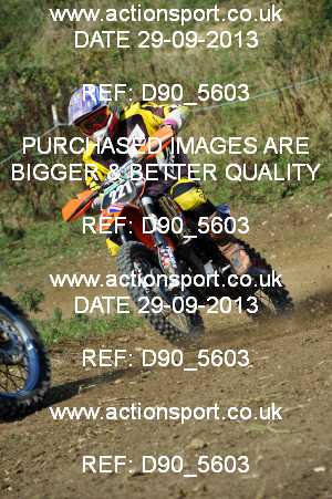 Photo: D90_5603 ActionSport Photography 29/09/2013 AMCA Dursley MXC - Nympsfield  _7_MX2Juniors-Over18