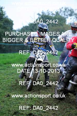 Photo: DA0_2442 ActionSport Photography 13/10/2013 Dorset Classic Scramble Club - Clash of the Titans  _5_Pre65Over350-Pre74Over250 #443