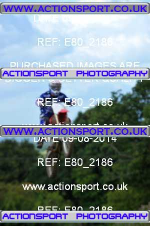 Photo: E80_2186 ActionSport Photography 09/08/2014 Thornbury MX Practice - Brookthorpe _4_Experts