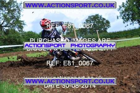 Photo: E81_0067 ActionSport Photography 30/08/2014 Thornbury MX Practice - Thornbury Motopark _2_Experts