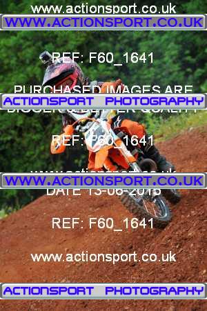 Photo: F60_1641 ActionSport Photography 13/06/2015 MCF South Somerset MXC - Tiverton _6_Autos
