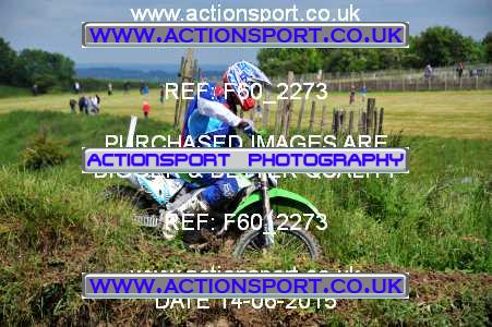 Photo: F60_2273 ActionSport Photography 14/06/2015 ACU Premier MX - Foxhills  _2_JuniorA #38