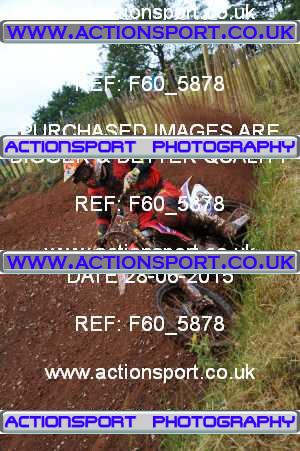 Photo: F60_5878 ActionSport Photography 28/06/2015 AMCA Polesworth MCC - Stipers Hill  _1_Experts #312