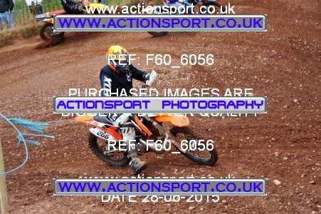 Photo: F60_6056 ActionSport Photography 28/06/2015 AMCA Polesworth MCC - Stipers Hill  _3_MX1Seniors #266