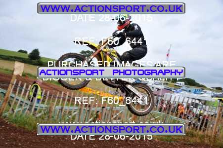 Photo: F60_6441 ActionSport Photography 28/06/2015 AMCA Polesworth MCC - Stipers Hill  _6_MX2Seniors #95