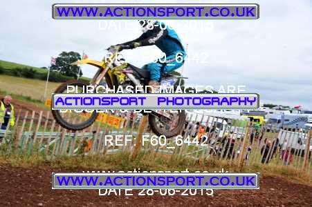 Photo: F60_6442 ActionSport Photography 28/06/2015 AMCA Polesworth MCC - Stipers Hill  _6_MX2Seniors #555