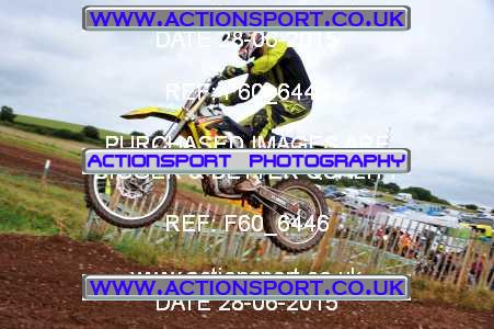 Photo: F60_6446 ActionSport Photography 28/06/2015 AMCA Polesworth MCC - Stipers Hill  _6_MX2Seniors #808