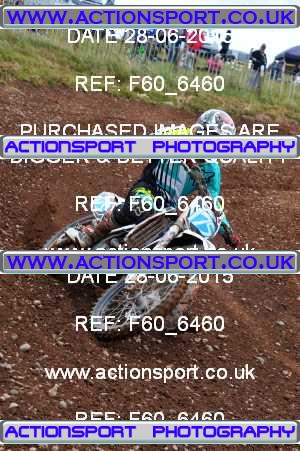 Photo: F60_6460 ActionSport Photography 28/06/2015 AMCA Polesworth MCC - Stipers Hill  _6_MX2Seniors #175