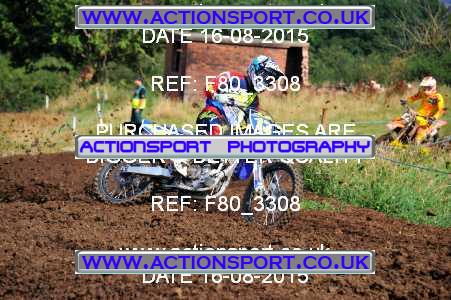 Photo: F80_3308 ActionSport Photography 16/08/2015 AMCA Cheltenham Spa SC - Brookthorpe  _3_Experts