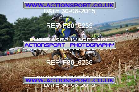 Photo: F80_6239 ActionSport Photography 30/08/2015 YMSA Poole & Parkstone MC - Wintebrourne Gunner  _2_VMX