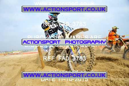 Photo: FA0_3783 ActionSport Photography 11/10/2015 AMCA Purbeck MXC Weymouth Beach Race  _2_Seniors #220