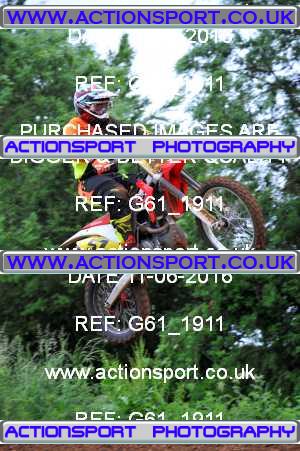 Photo: G61_1911 ActionSport Photography 11/06/2016 Thornbury MX Practice - Westonbirt 1130_Experts-Seniors