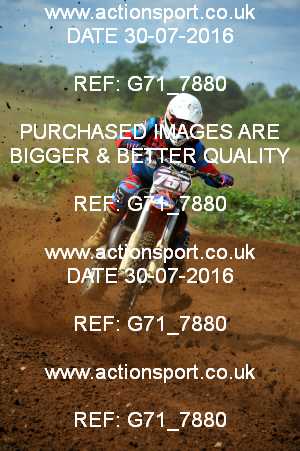 Photo: G71_7880 ActionSport Photography 30/07/2016 MCF Portsmouth MXC [Sat] - Culham _4_Rookies #751
