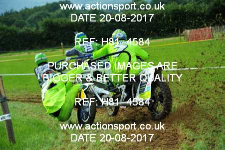 Photo: H81_4584 ActionSport Photography 20/08/2017 Somerset Scramble Club - Cotley  _4_Sidecars #7