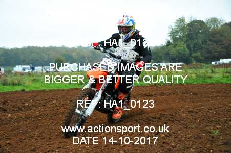 Photo: HA1_0123 ActionSport Photography 14/10/2017 Thornbury MX Practice - Westonbirt 0950_Juniors #192