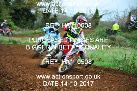 Photo: HA1_0508 ActionSport Photography 14/10/2017 Thornbury MX Practice - Westonbirt 1030_Experts-Seniors #72