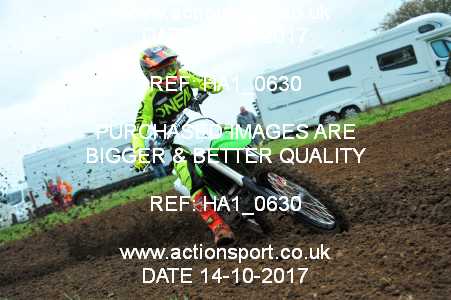 Photo: HA1_0630 ActionSport Photography 14/10/2017 Thornbury MX Practice - Westonbirt 1030_Experts-Seniors #70