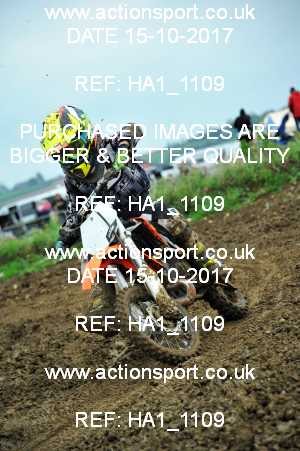 Photo: HA1_1109 ActionSport Photography 15/10/2017 MCF South Somerset MX - Grittenham _4_65s #56
