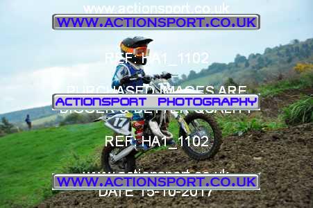 Photo: HA1_1102 ActionSport Photography 15/10/2017 MCF South Somerset MX - Grittenham _4_65s #17