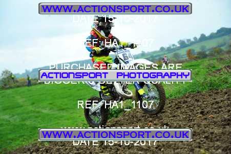 Photo: HA1_1107 ActionSport Photography 15/10/2017 MCF South Somerset MX - Grittenham _4_65s #64